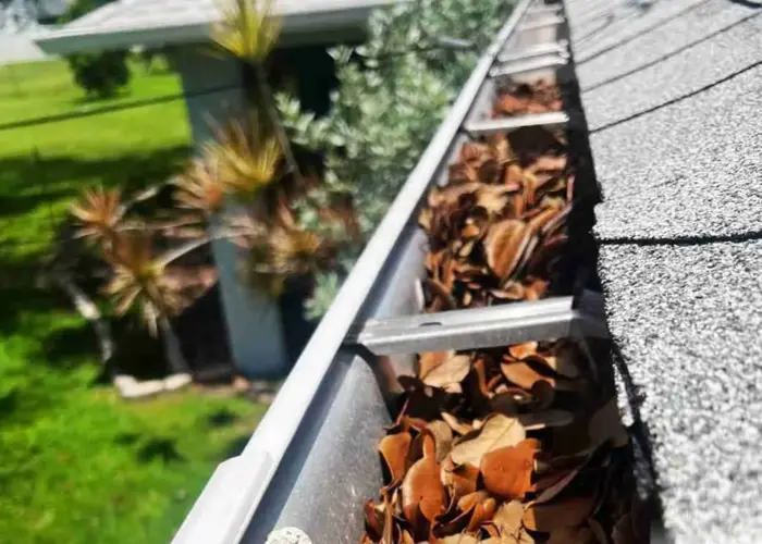 Brentwood gutter cleaning home page